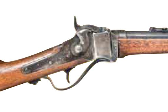 NM1869<br> Military Rifles & Carbines